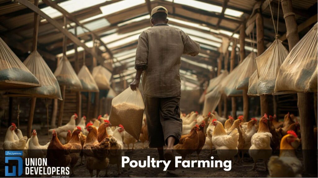 Poultry Farming