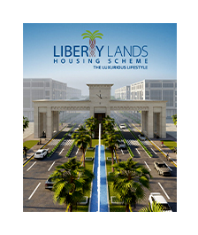 liberty land project image