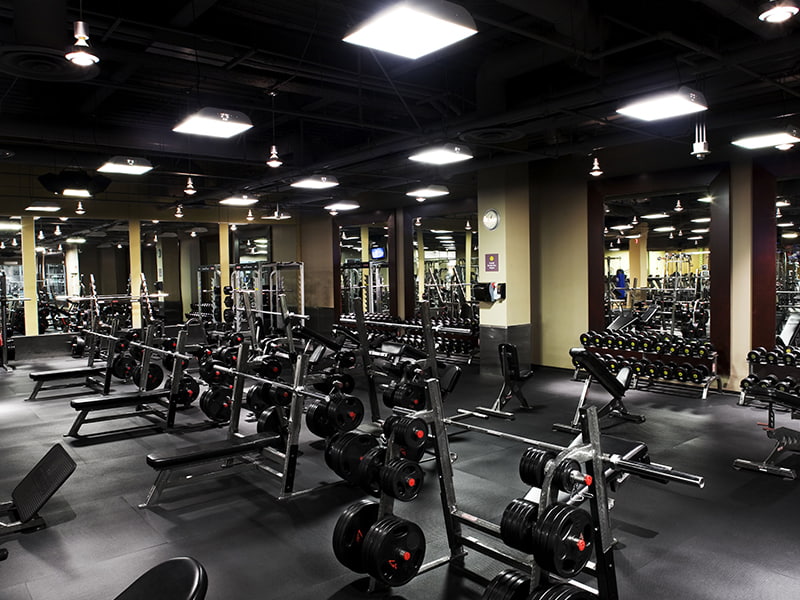 fitness gym