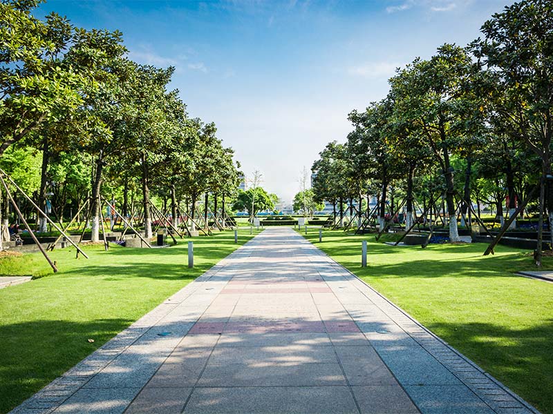 community park