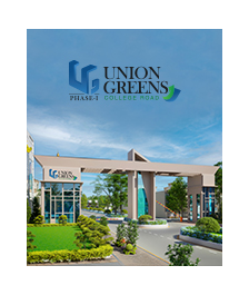 union greens phase 1 updates