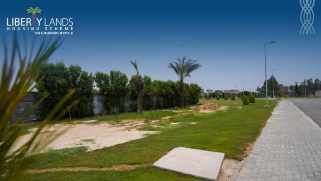 Liberty Lands, 25 July 2024